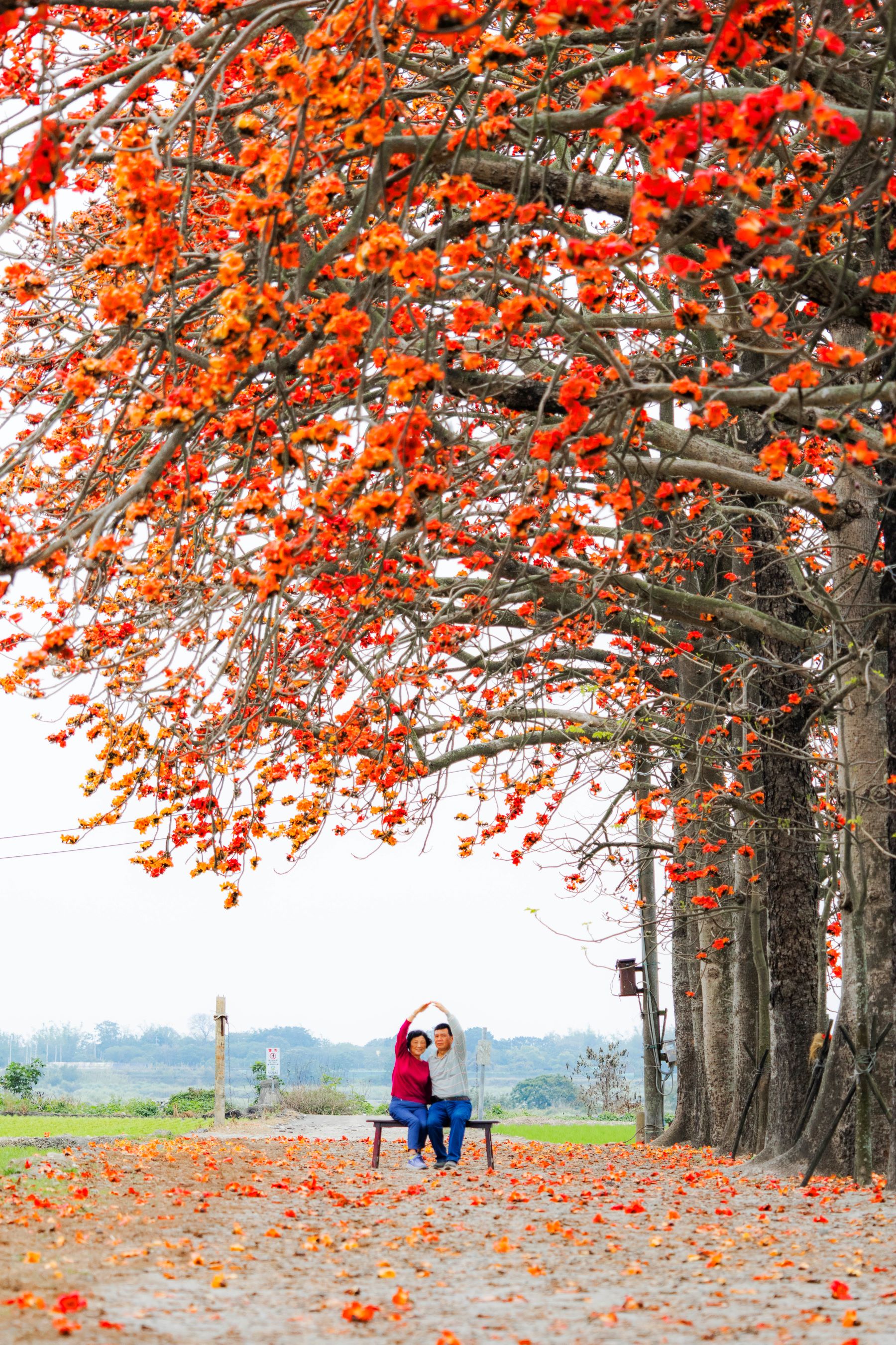 2025【相伴樂無憂】-照片-青年組-優選