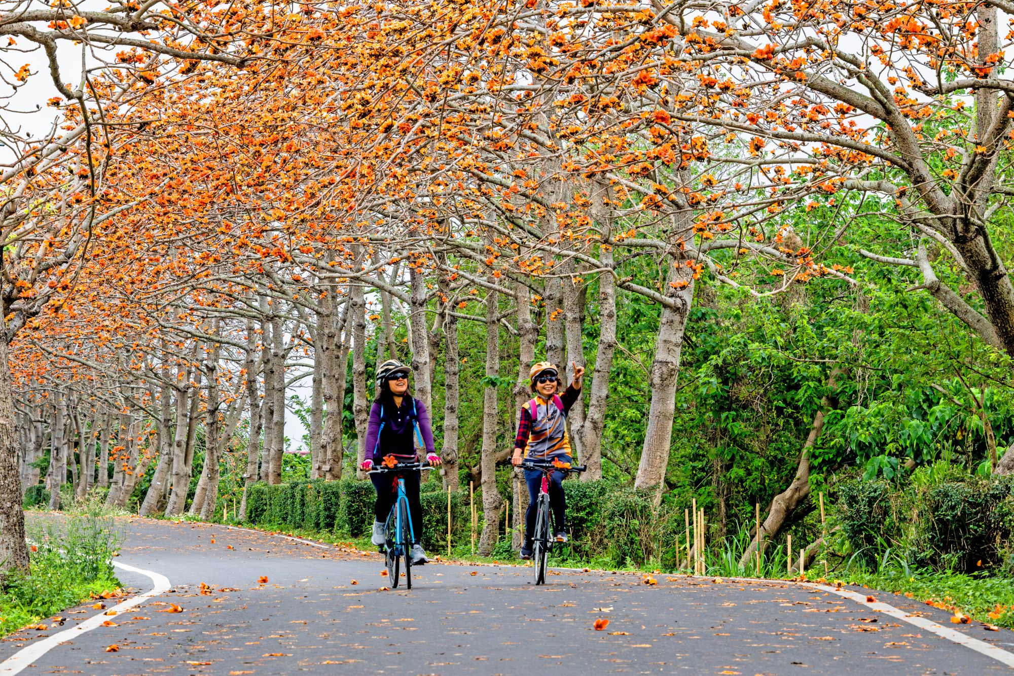 2025【相伴樂無憂】-照片-青年組-佳作