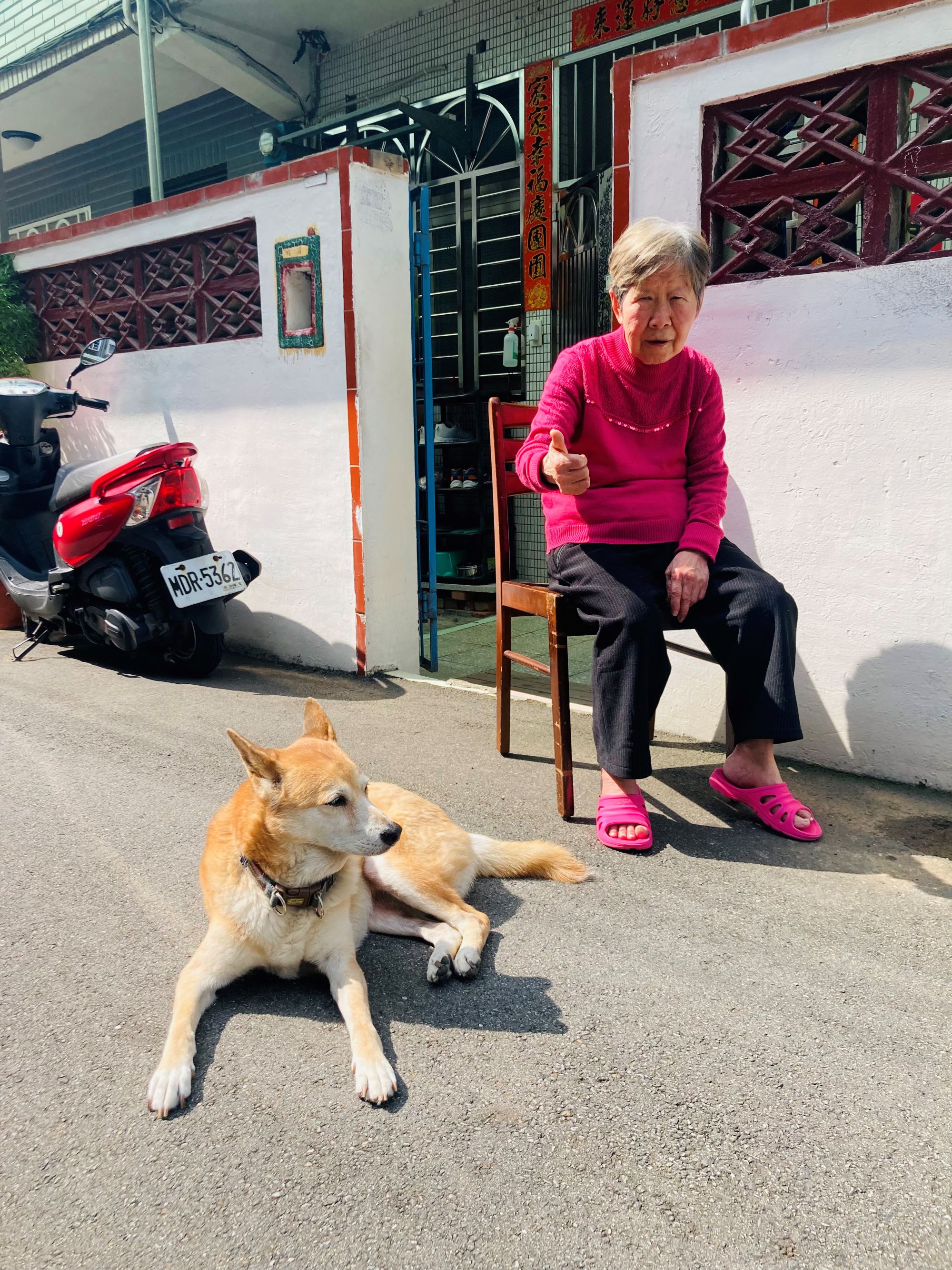 2025【相伴樂無憂】-照片-壯年組-入選